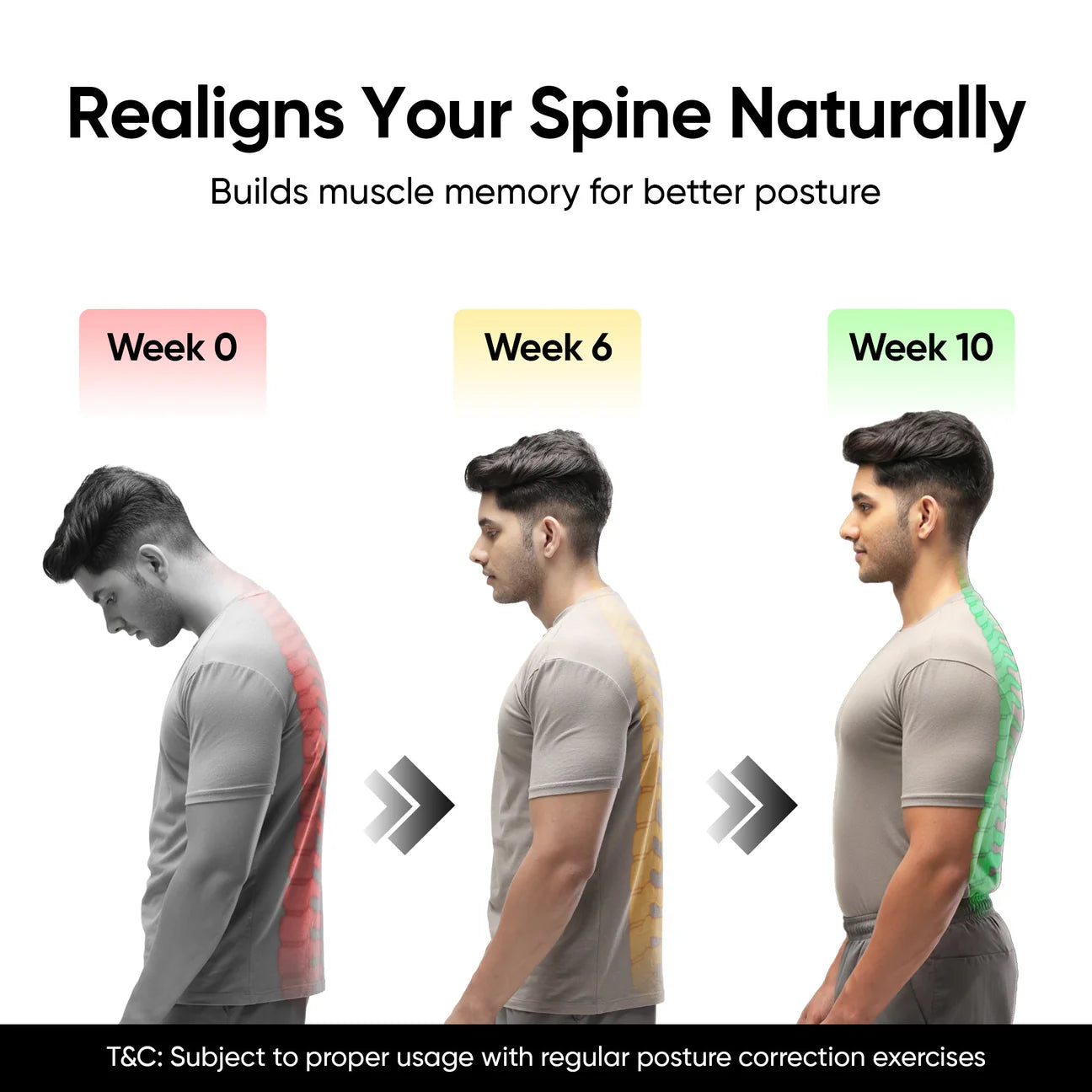 Posture Corrector Shoulder Belt